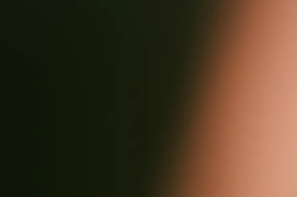 Bet Cazino Cazinou Suport